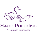 Swan Paradise